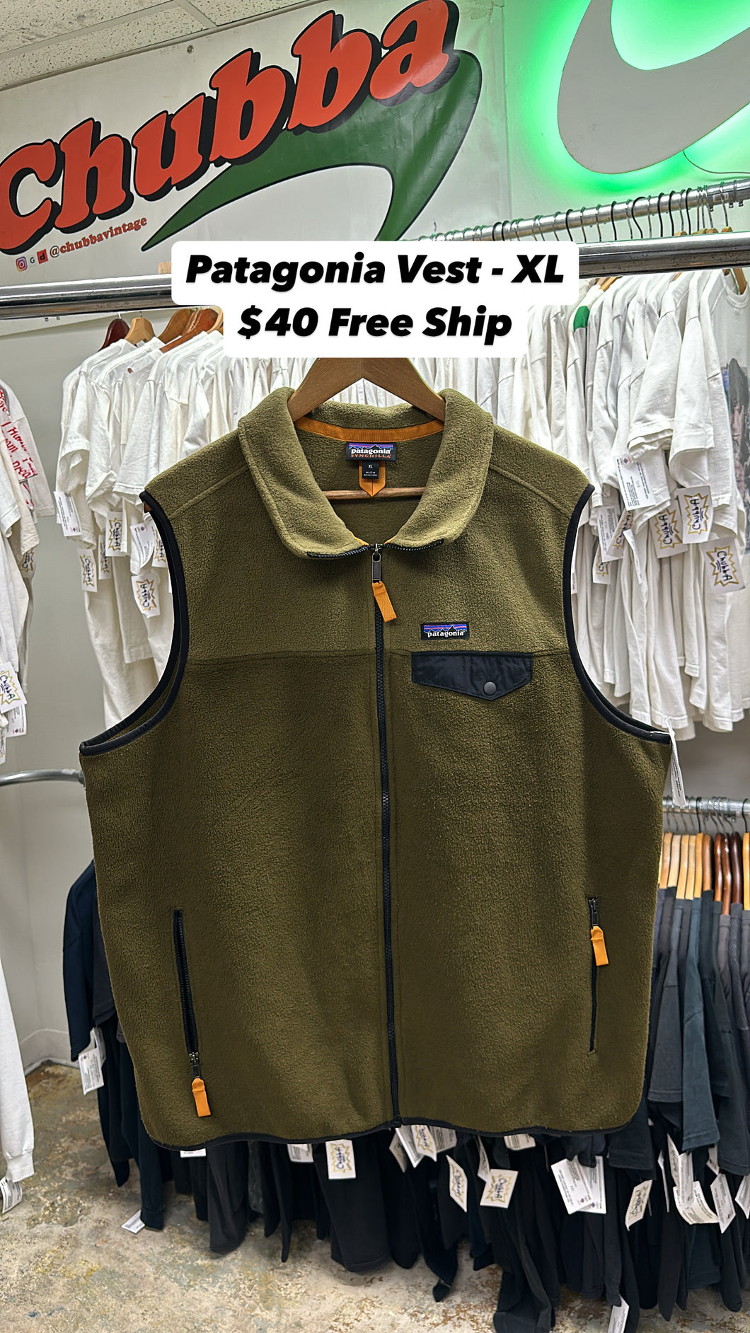 Patagonia Vest