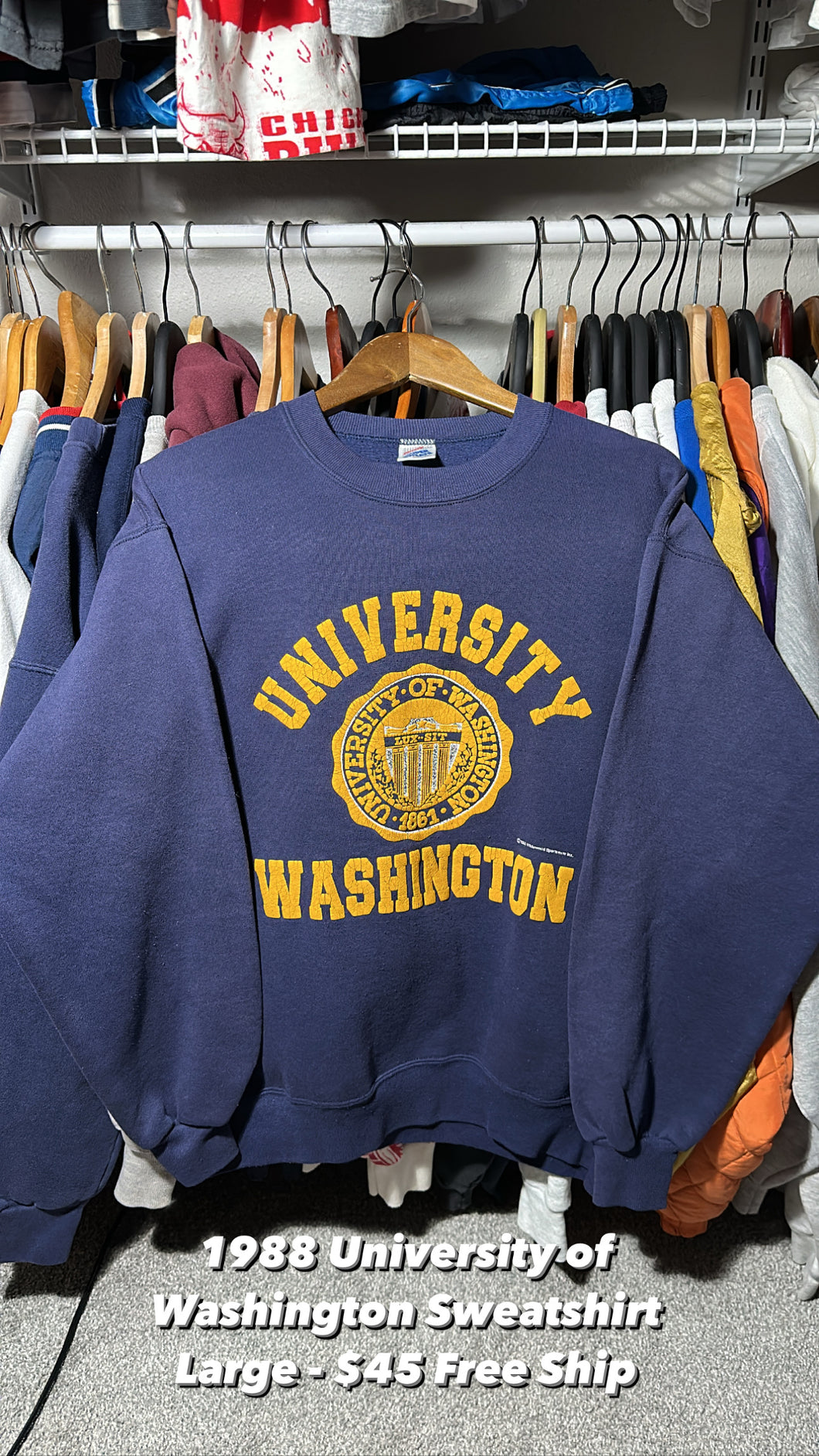 Vintage UW Sweatshirt