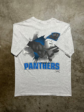 Load image into Gallery viewer, Vintage Carolina Panthers Nutmeg Breakthrough Tee (XL)
