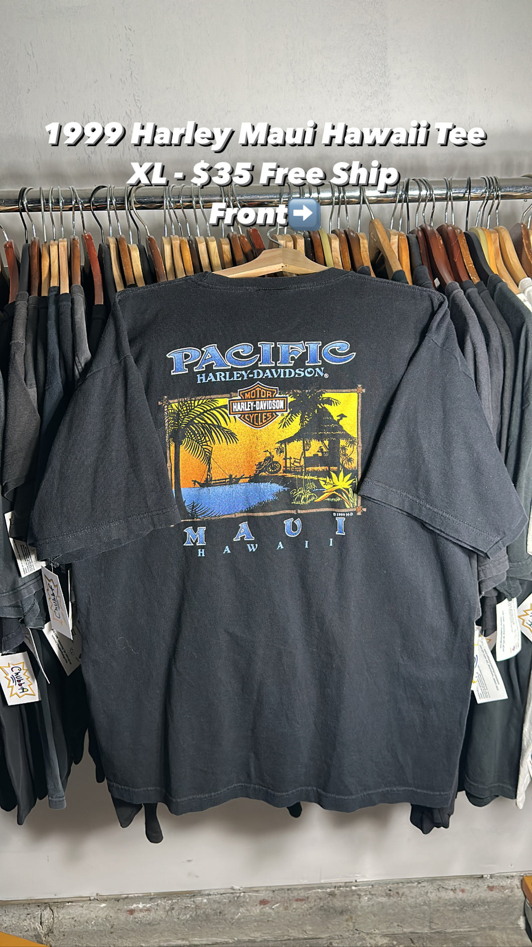 Vintage Maui Tee