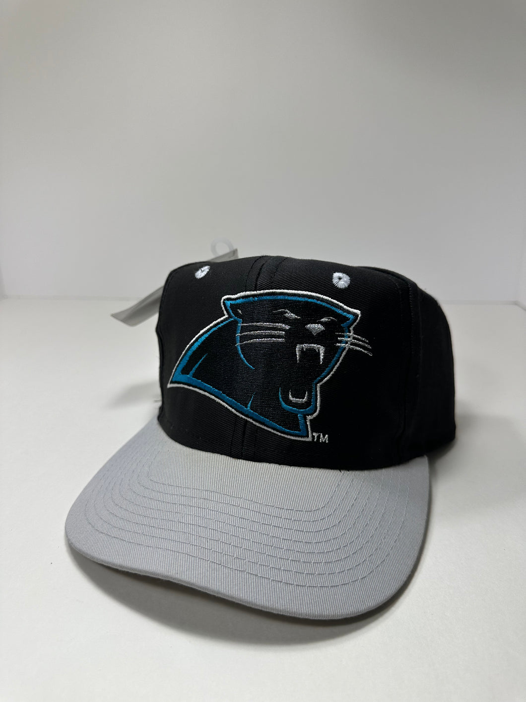 Vintage Carolina Panthers Big Logo 1990s NFL SnapBack Hat