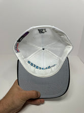 Load image into Gallery viewer, Vintage Carolina Panthers Pro Line Starter 90s SnapBack Hat
