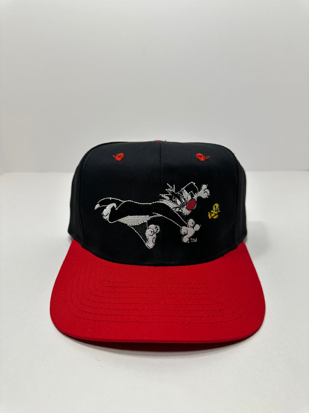 Vintage Tweety and Sylvester 1990s Looney Tunes Snapback Hat