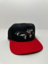 Load image into Gallery viewer, Vintage Tweety and Sylvester 1990s Looney Tunes Snapback Hat
