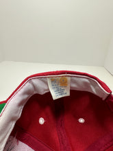 Load image into Gallery viewer, Vintage Arkansas Razorbacks Circle Script The Game 1990s Snapback Hat
