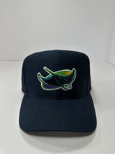 Load image into Gallery viewer, Vintage Tampa Bay Devil Rays 1990s MLB Snapback Hat
