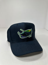 Load image into Gallery viewer, Vintage Tampa Bay Devil Rays 1990s MLB Snapback Hat
