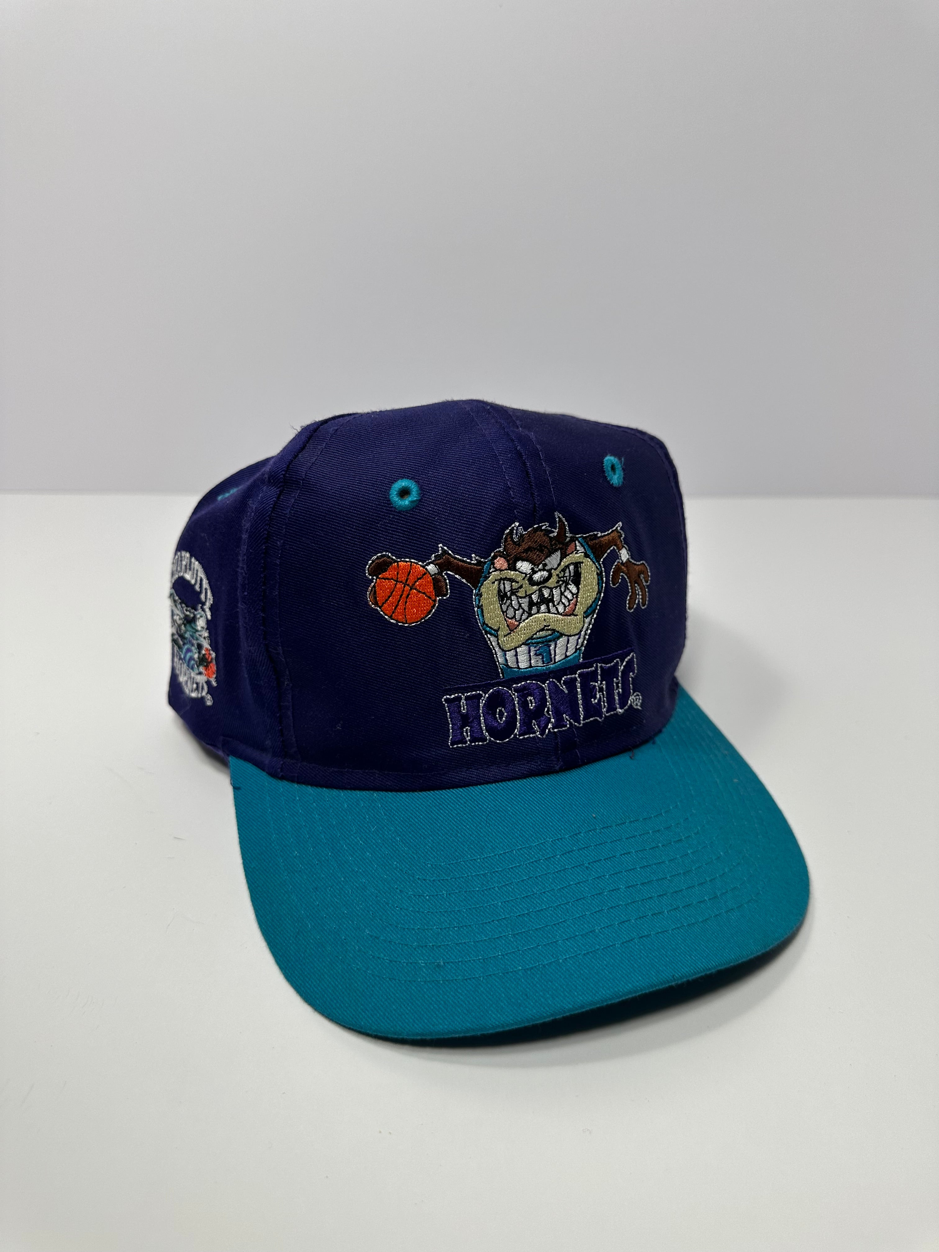 Vintage Charlotte Hornets Taz 90s NBA Basketball Snapback Hat – Chubba ...